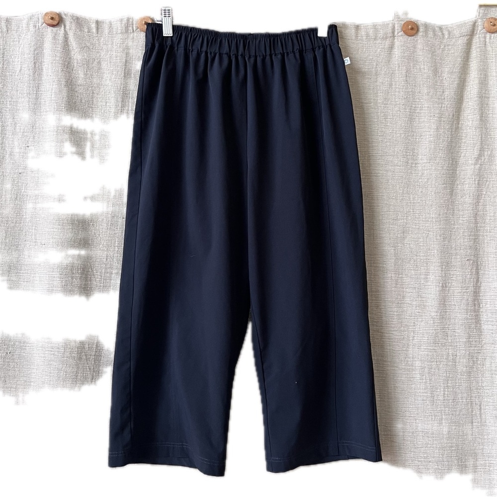 Chico’s Zenergy swishy cropped pull on athleisure pants poly spandex 1 8/10 M
